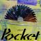 Pocket