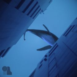 藍空、ミラー
