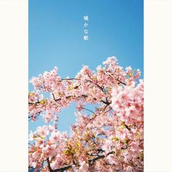 暖かな歌