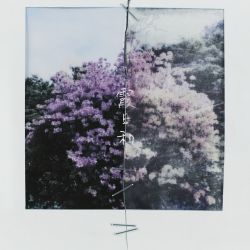 Message Card