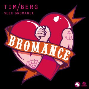 Seek Bromance (Avicii Vocal Edit)