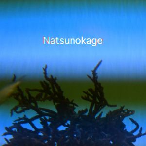 Natsunokage