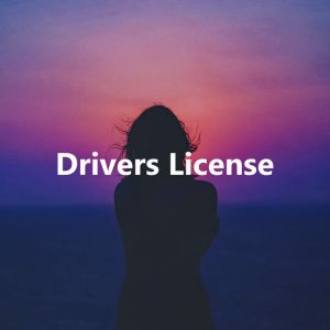 Drivers License
