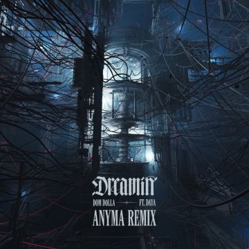 Dreamin (feat. Daya) - Anyma Remix