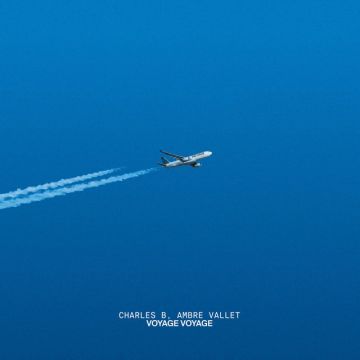 Voyage voyage