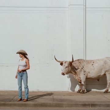 Horses and Divorces (feat. Miranda Lambert)