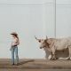Horses and Divorces (feat. Miranda Lambert)