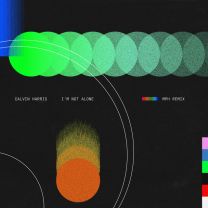 I'm Not Alone - MPH Remix