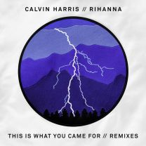 This Is What You Came For - Bobby Puma Remix