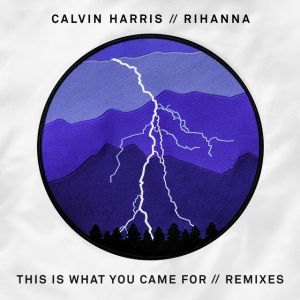 This Is What You Came For - Bobby Puma Remix
