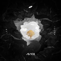Lonely Together (feat. Rita Ora)
