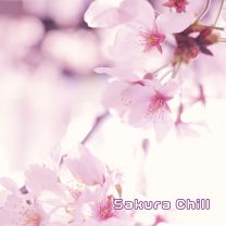Sakura Chill