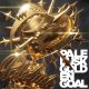 GOLDEN GOAL