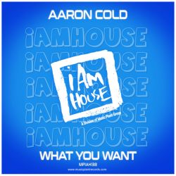 What You Want - Aaron Radio Edit