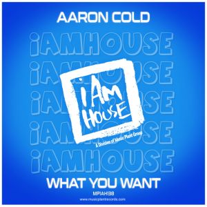 What You Want - Aaron Radio Edit