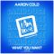 What You Want (Aaron Radio Edit)