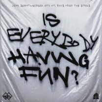 Is Everybody Having Fun? (feat. rhys from the sticks)