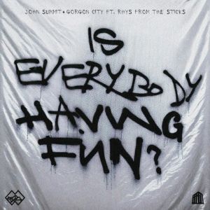 Is Everybody Having Fun? (feat. rhys from the sticks)