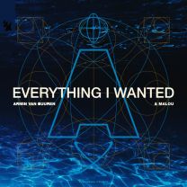Everything I Wanted