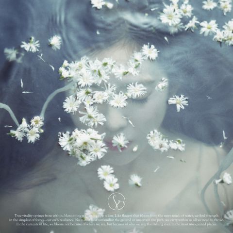 Like A Flower – IRENE