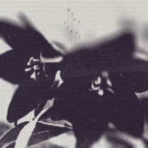 ハナセナイ