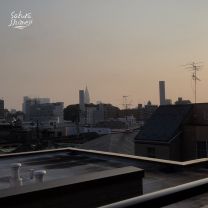ハウリング