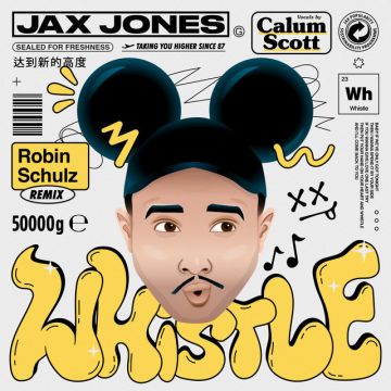 Whistle - Robin Schulz Remix