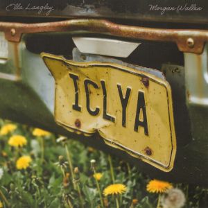 I Can't Love You Anymore