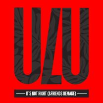 It's Not Right (&friends Remake) - Radio Edit