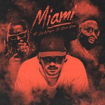 Miami (feat. Lil Wayne & Rick Ross)