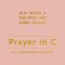 Prayer in C - Robin Schulz Radio Edit