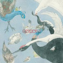 Twelve Ephemeral Variations