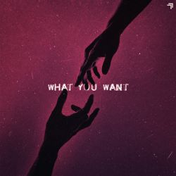 What You Want
