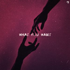 What You Want