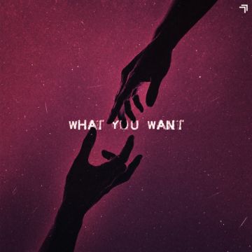 What You Want
