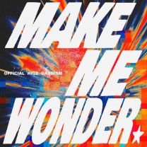 Make Me Wonder