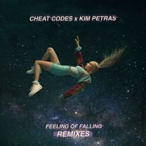 Feeling of Falling - Steve Aoki Remix