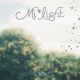 Mi*light