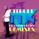 Fun (feat. Chris Brown) - Damaged Goods Remix