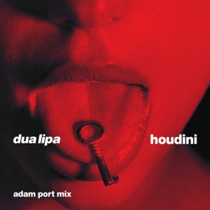 Houdini - Adam Port Mix