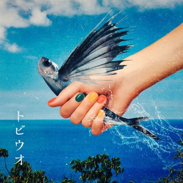 トビウオ