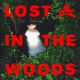 Lost In The Woods
