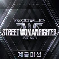 WORLD OF STREET WOMAN FIGHTER(WSWF) Original Vol.2 (Class Mission)