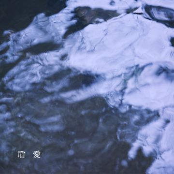 盾愛