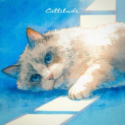 Cattitude