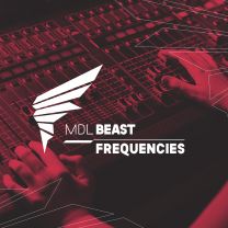 Feel the Vibe (Mixed)