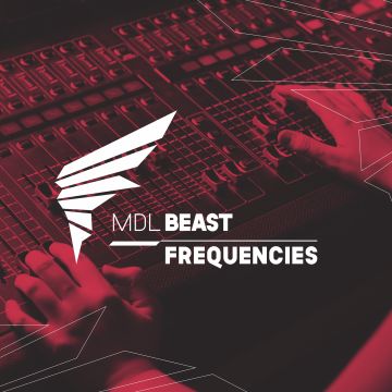Feel the Vibe (Mixed)