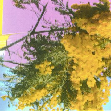 Four Tet