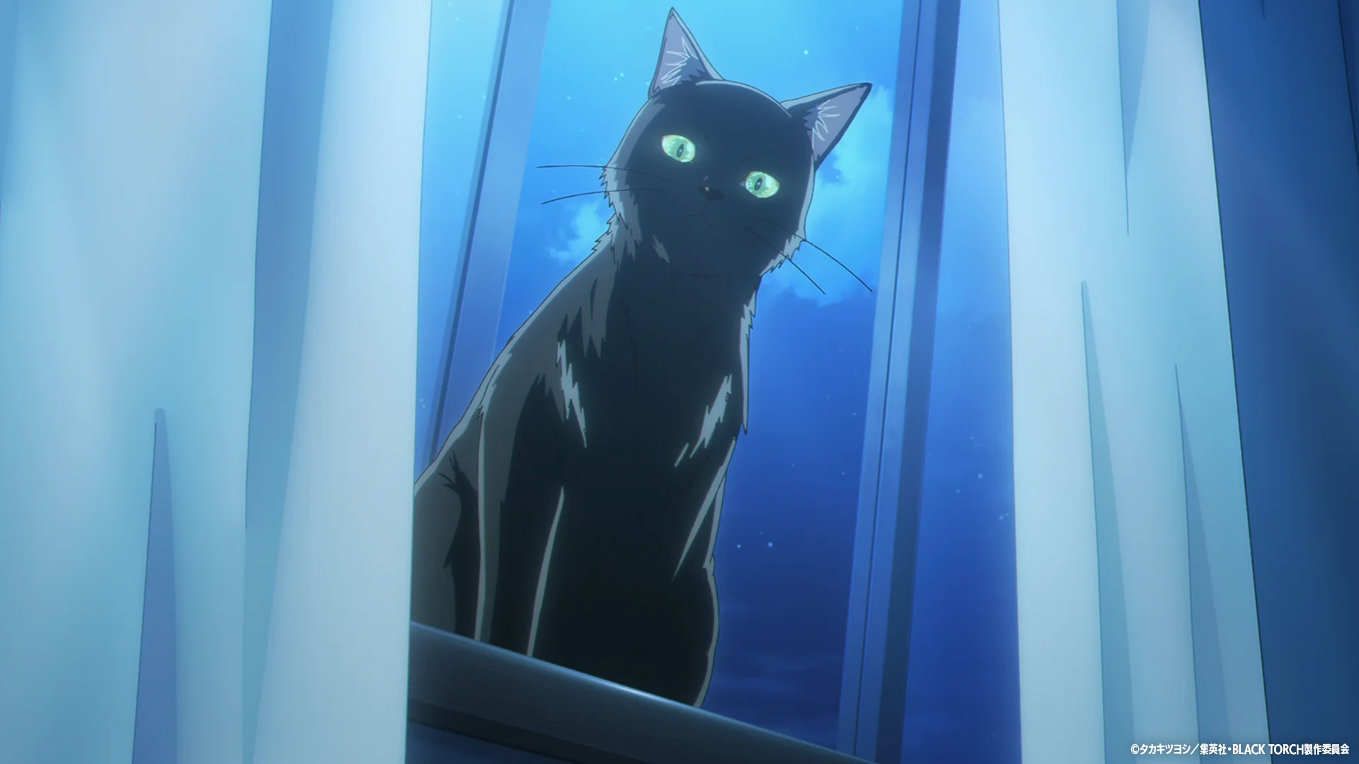 Темношерста кішка з світячимися очима сидить на виступі на тлі нічного неба