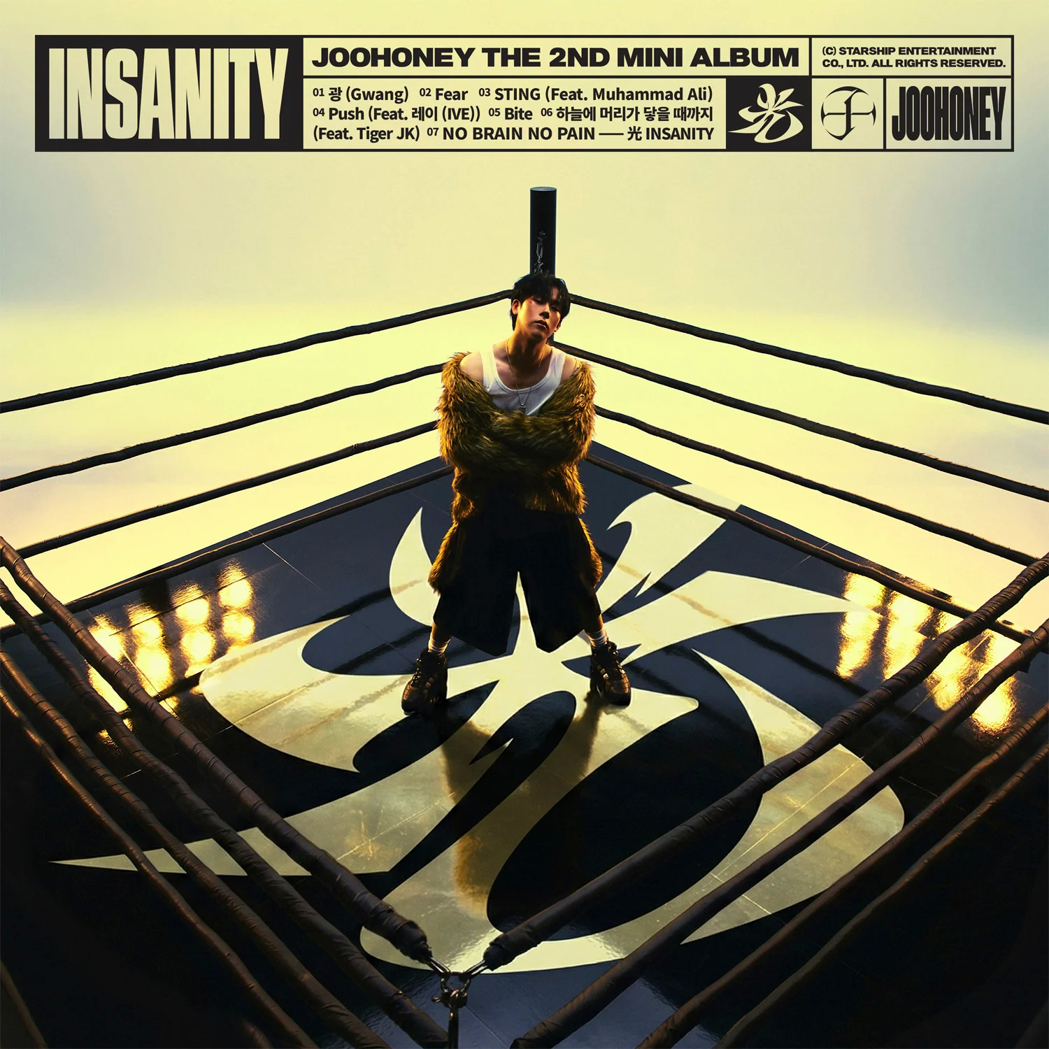 JOOHONEY in a wrestling ring with INSANITY text